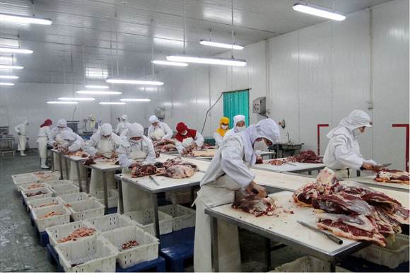 主页 产品中心 其它工业污水处理肉制品加工企业,为适应市场需求,可分