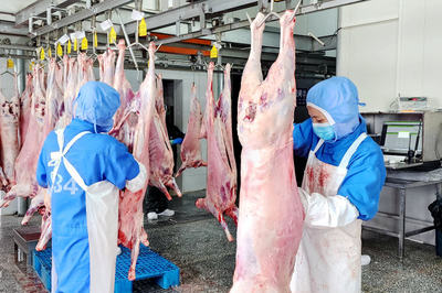 呼伦贝尔肉业集团:致力打造牛羊全产业链