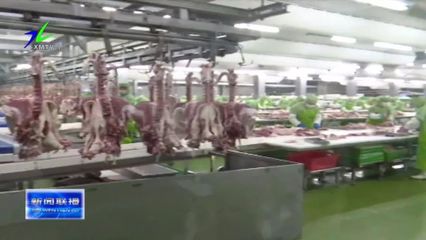 斯琴毕力格深入肉食品加工企业调研